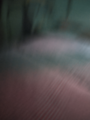 16595170945572585144985930371891.jpg